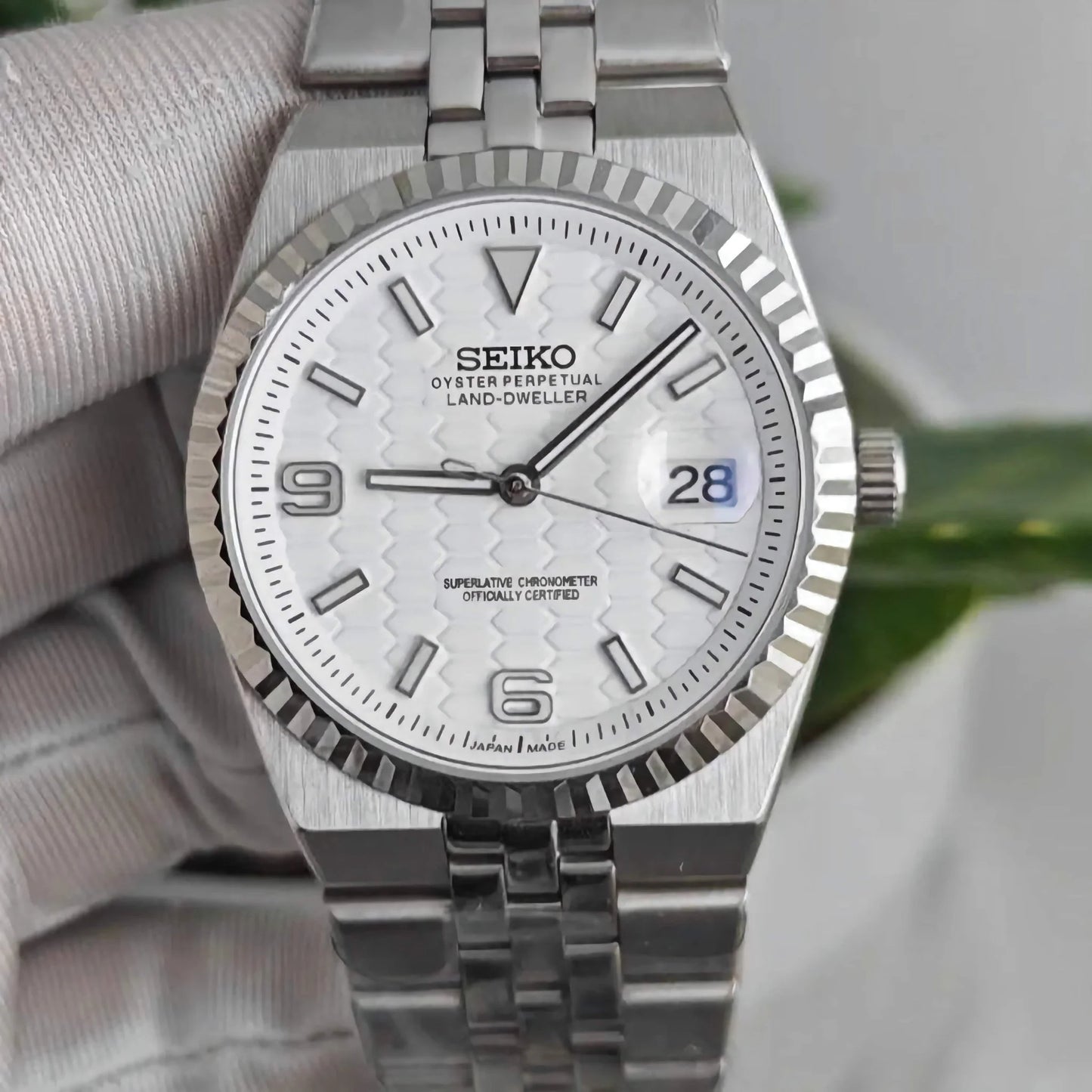 Seiko Land-Dweller White Dial